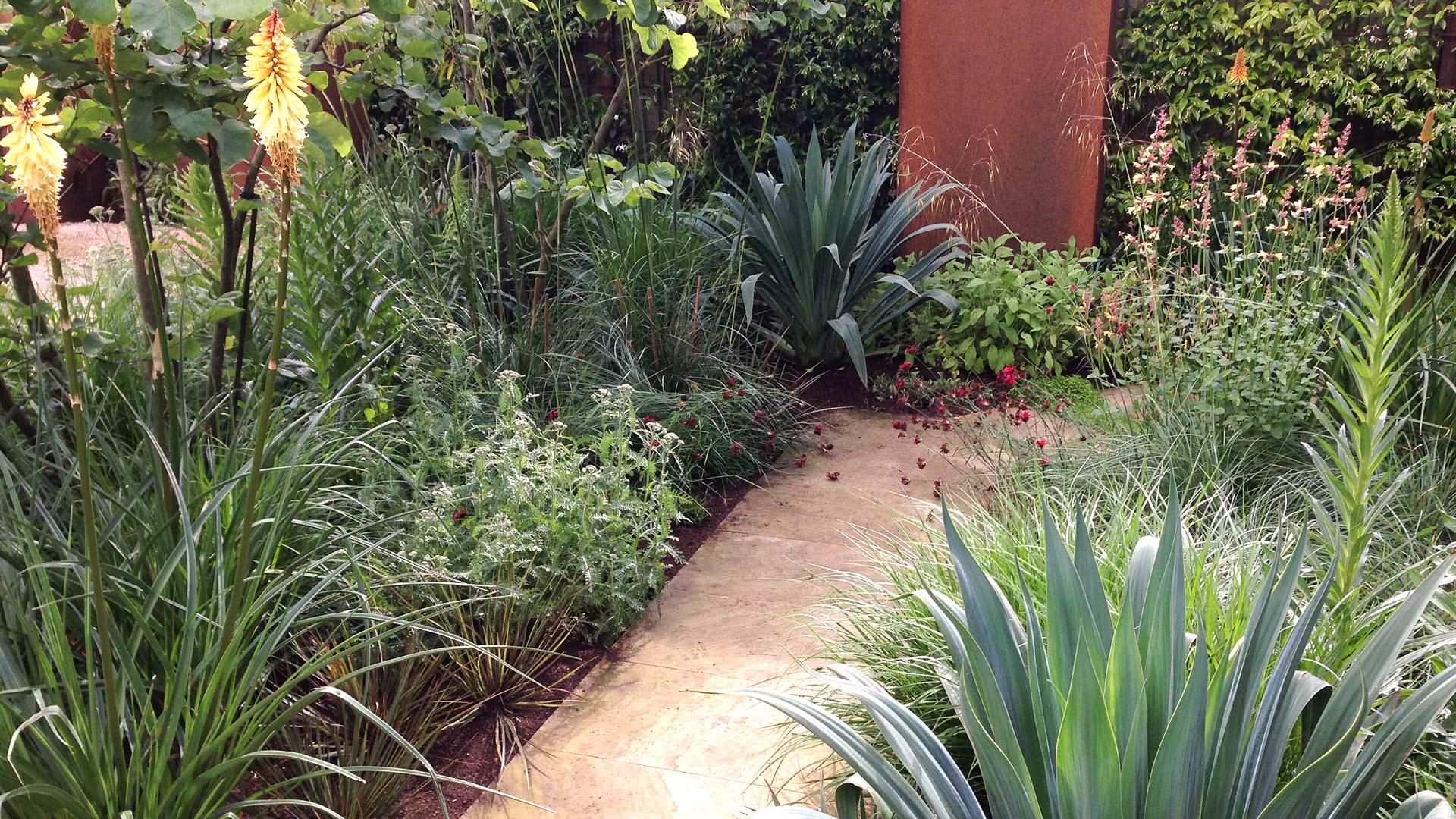 Detail of South London Garden by James Aldridge Landscape and Garden Design