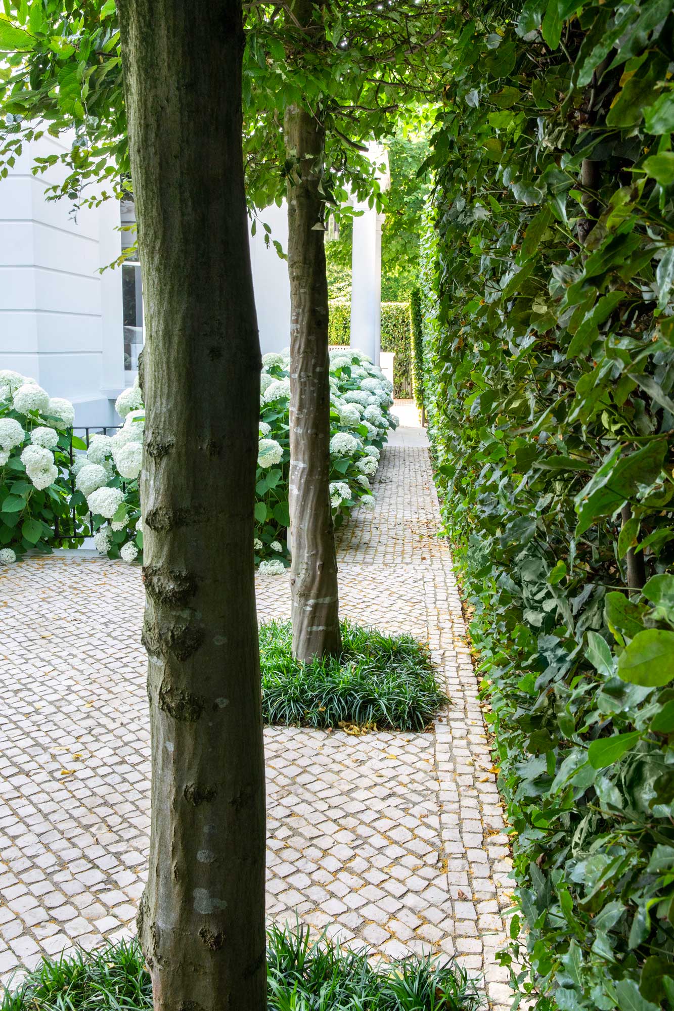 Garden in Gilston Road, Chelsea by James Aldridge Landscape and Garden Design