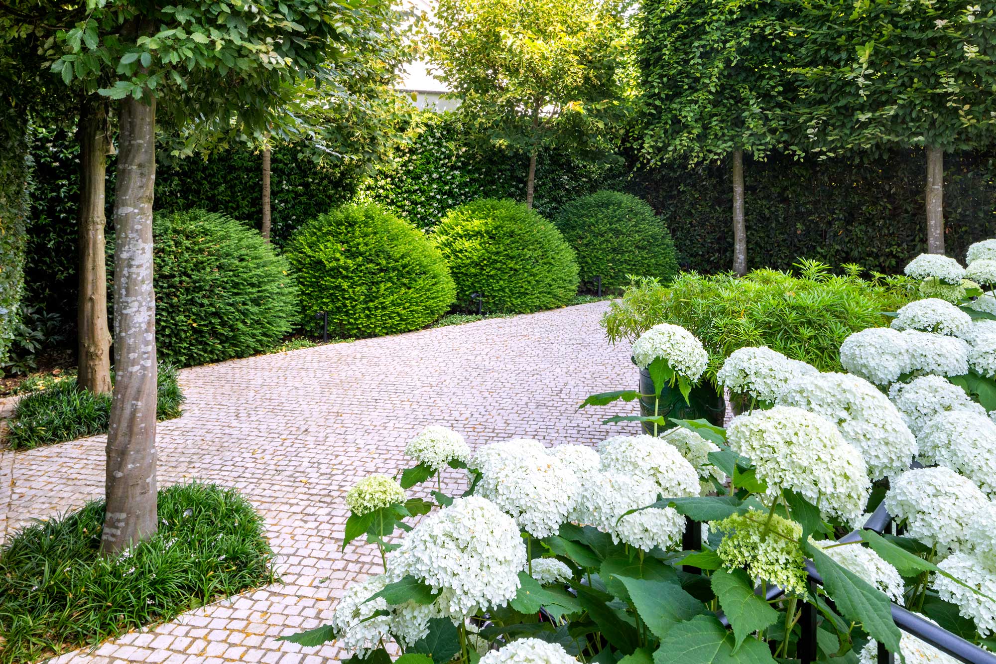 Garden in Gilston Road, Chelsea by James Aldridge Landscape and Garden Design