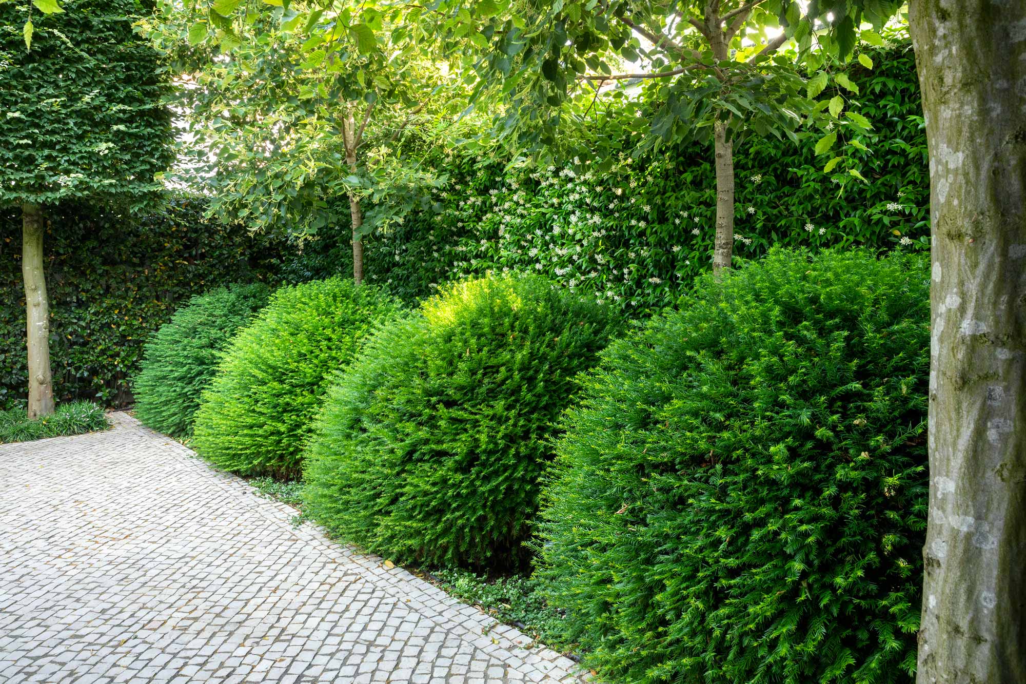 Garden in Gilston Road, Chelsea by James Aldridge Landscape and Garden Design