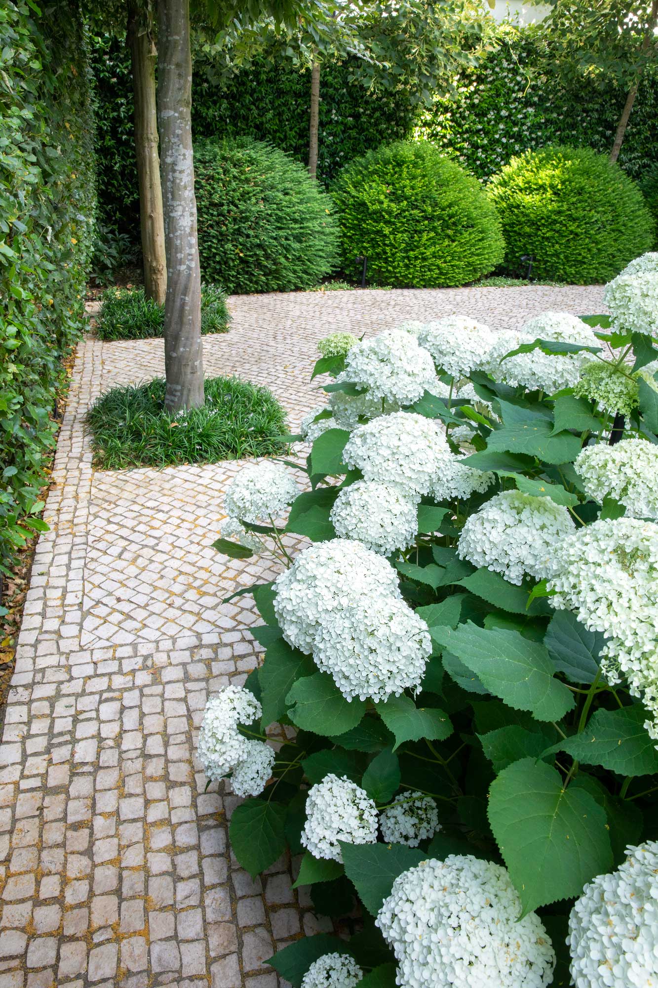 Garden in Gilston Road, Chelsea by James Aldridge Landscape and Garden Design