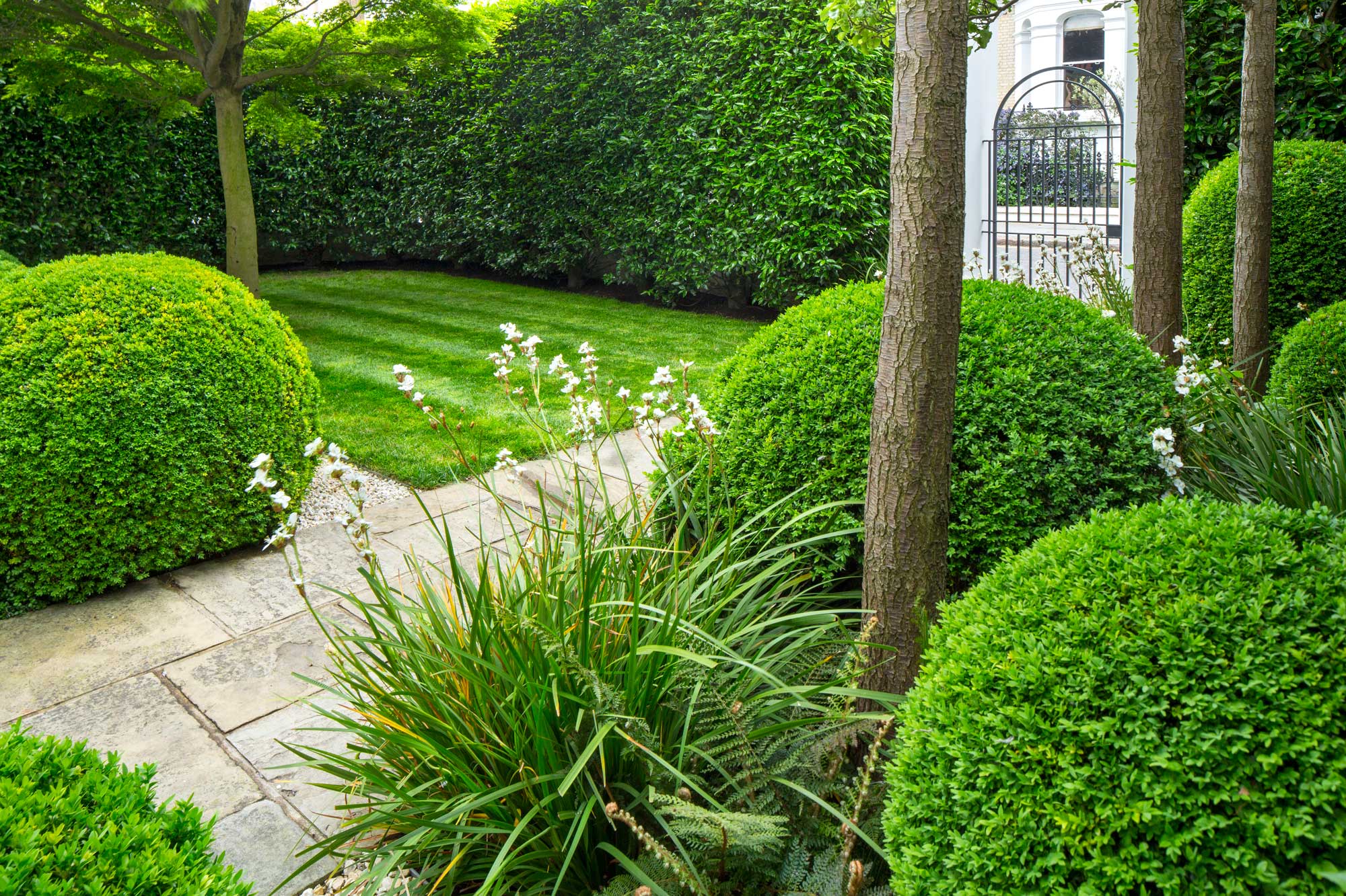 Chelsea Garden in Gilston Road by James ALdridge Landscape and Garden Design