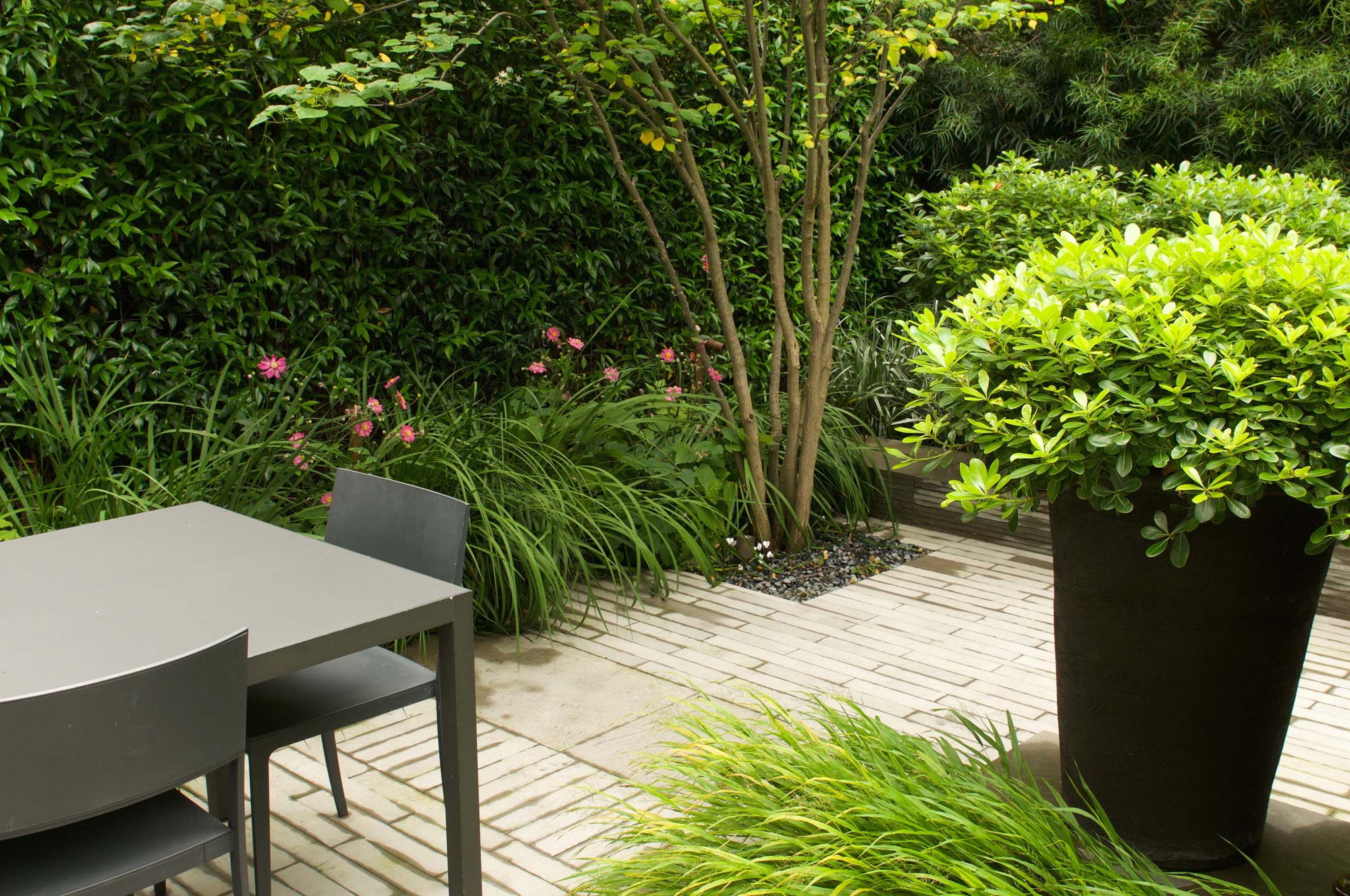 Kensington Garden by James Aldridge Landscape and Garden Design