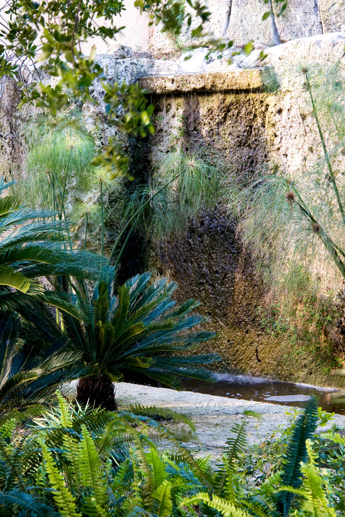 fountain and pool in Mallorcan Garden - James Aldridge Landscape and Garden Design