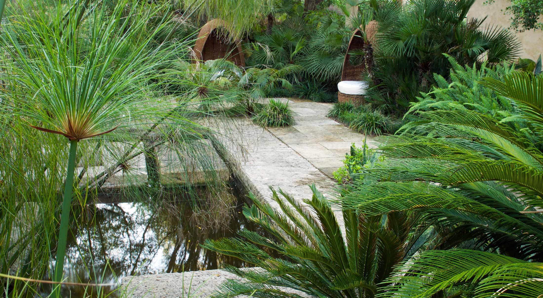 Mallorca garden pond with ferns - James Aldridge Landscape and Garden Design