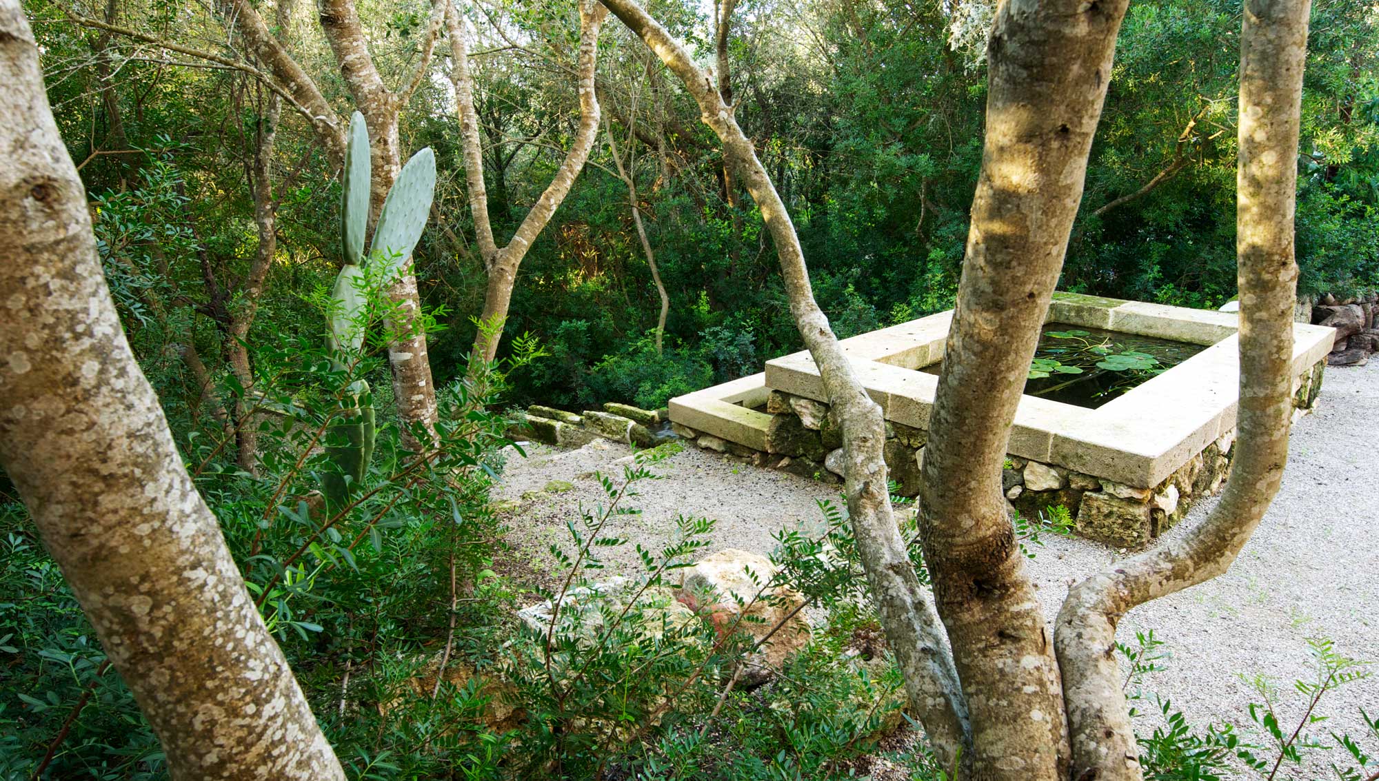 pool and rill in Mallorcan Garden - James Aldridge Landscape and Garden Design