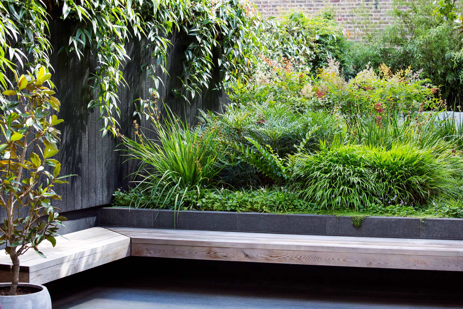 Peckham Garden - James Aldridge Landscape and Garden Design