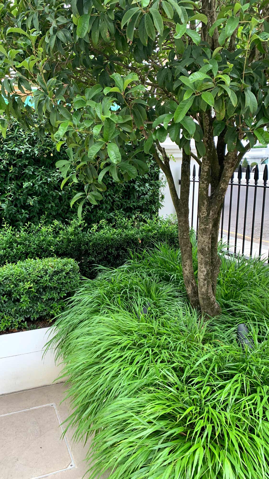 Garden in Tregunter Road Chelsea by James Aldridge Landscape and Garden Design